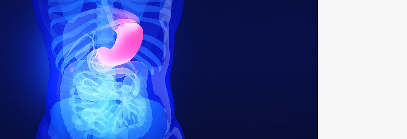 mansion88·明升(中国游)官方网站