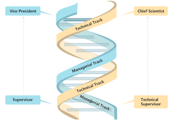mansion88·明升(中国游)官方网站