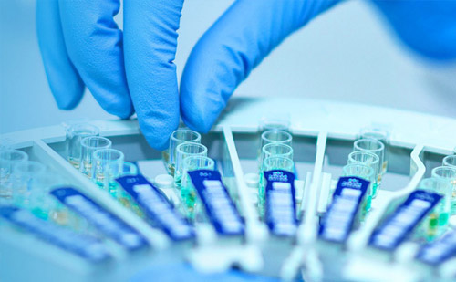 mansion88·明升(中国游)官方网站