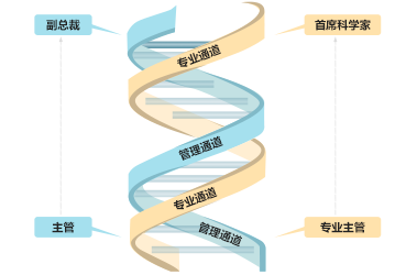 mansion88·明升(中国游)官方网站