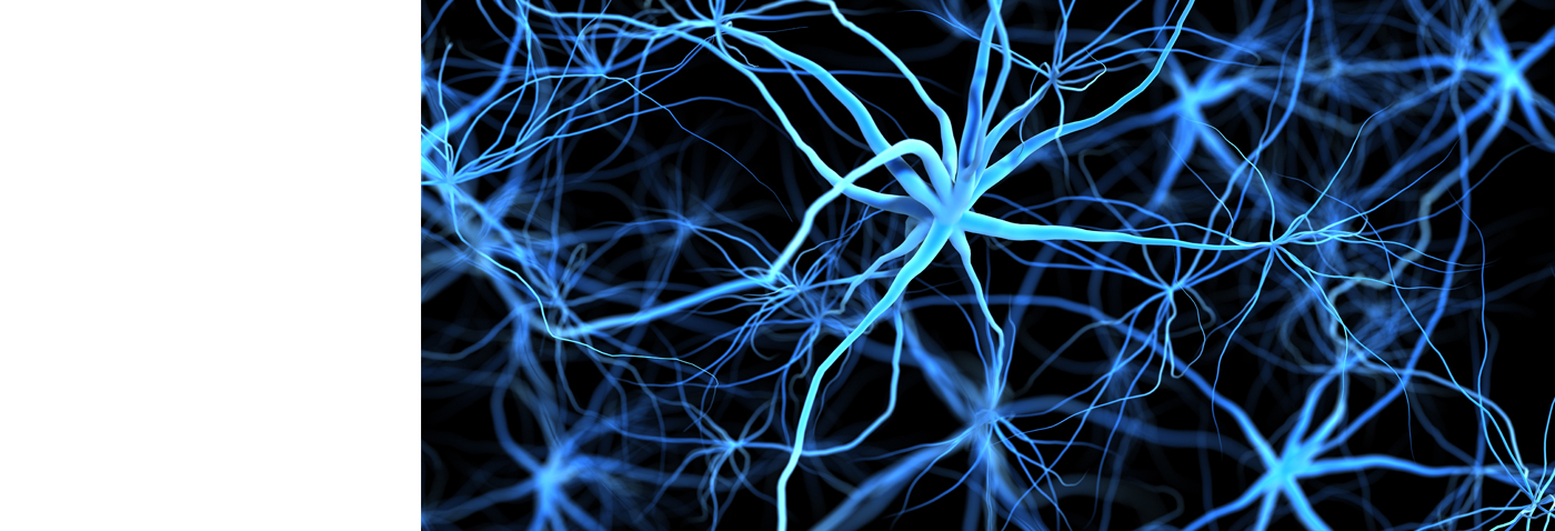 mansion88·明升(中国游)官方网站